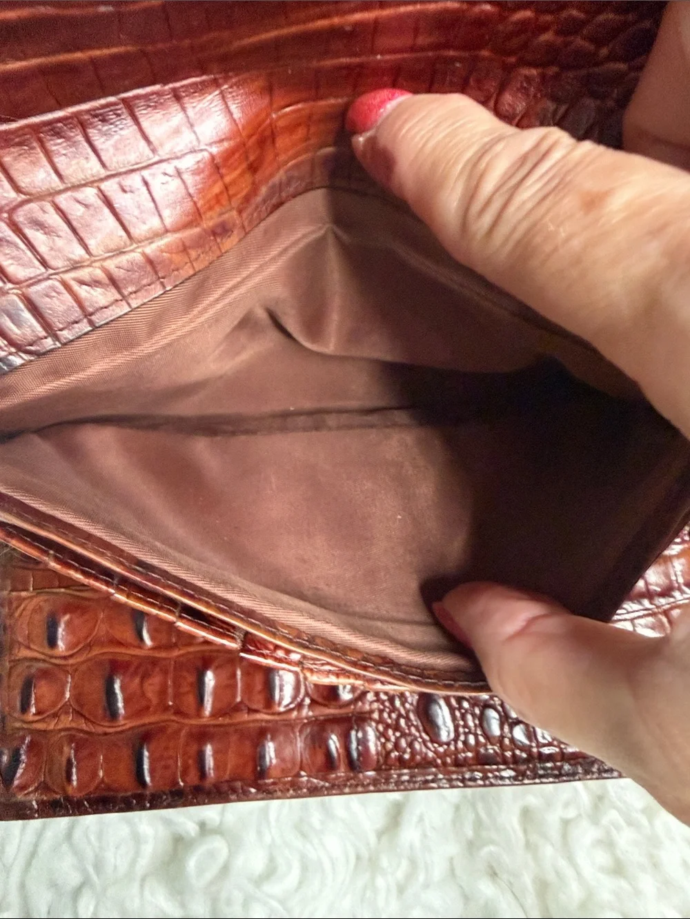 Brahmin stylish continental